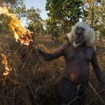 Matthew Abbott, Salvare le foreste con il fuoco, Australia, per National Geographic/Panos Pictures